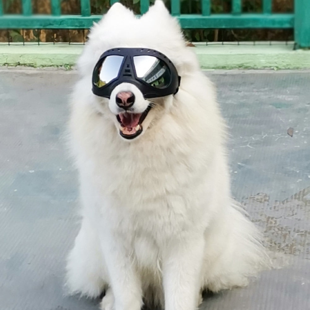 Dog Sunglasses / Goggles Provide Eye Protection and Are Cool Looking