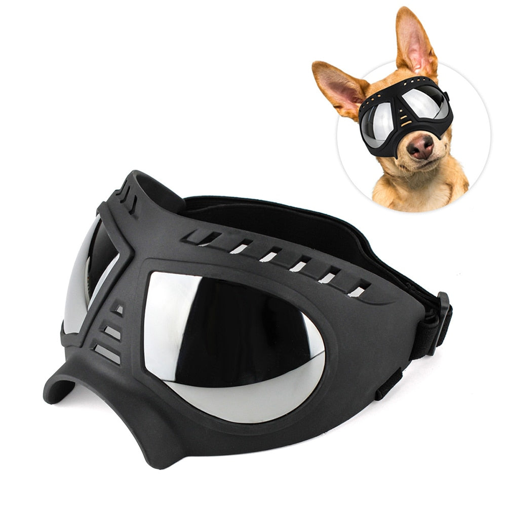 Dog Sunglasses / Goggles Provide Eye Protection and Are Cool Looking