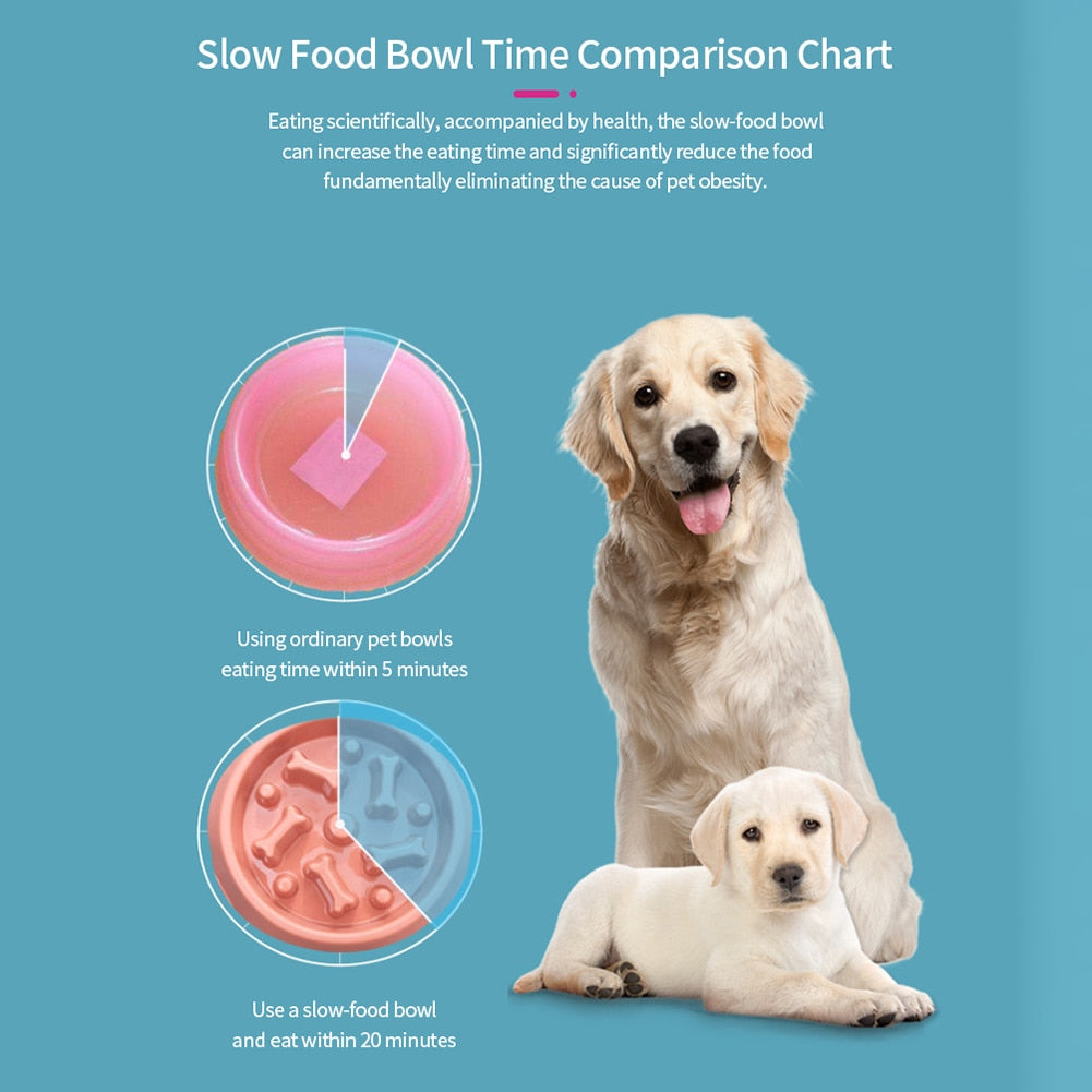 New Dog/Pet Food Bowls Slows Down Eating