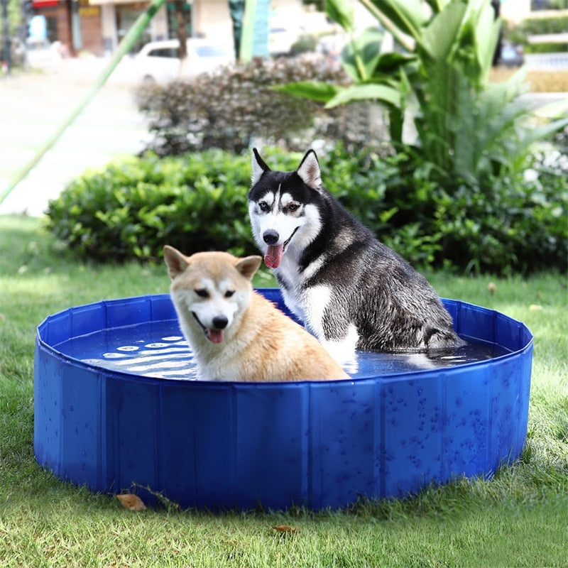 Dog and Small Children Wading Pool for Lots of Summer Fun