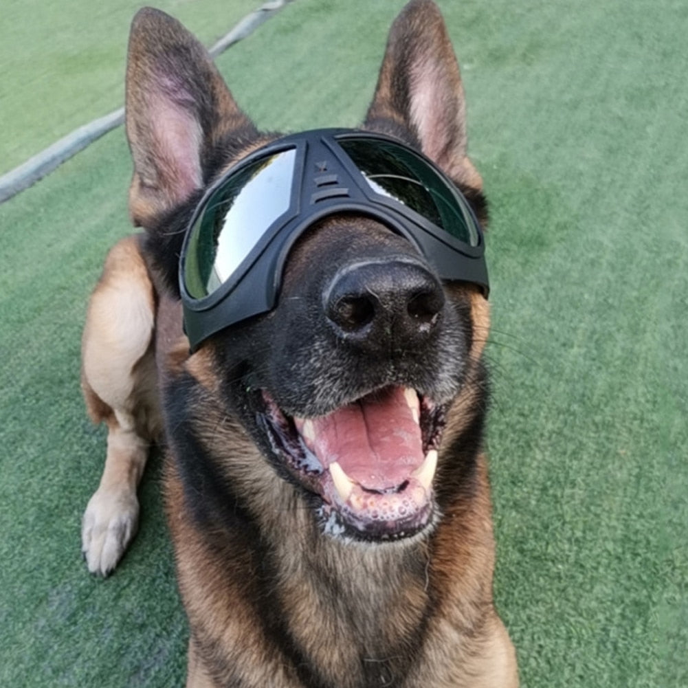 Dog Sunglasses / Goggles Provide Eye Protection and Are Cool Looking