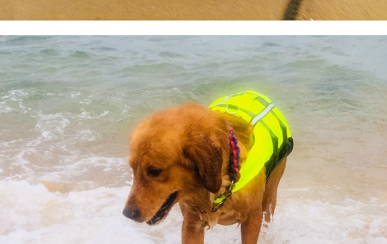 Inflatable Dog Vest/Life Jacket