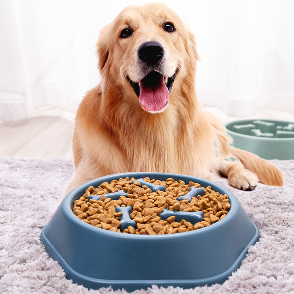 New Dog/Pet Food Bowls Slows Down Eating