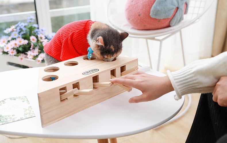 Cat Interactive 3 or 5 Whack-A-Mole Stimulation Toy