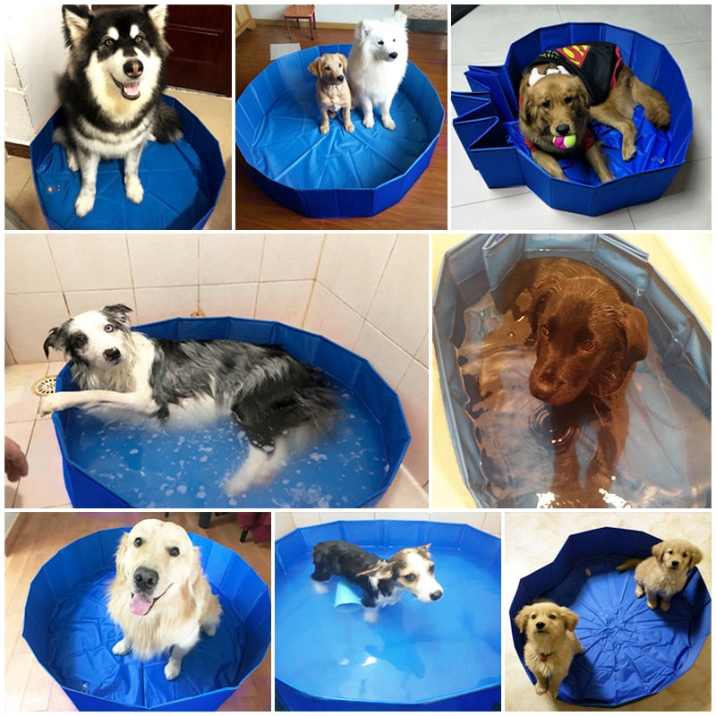 Dog and Small Children Wading Pool for Lots of Summer Fun