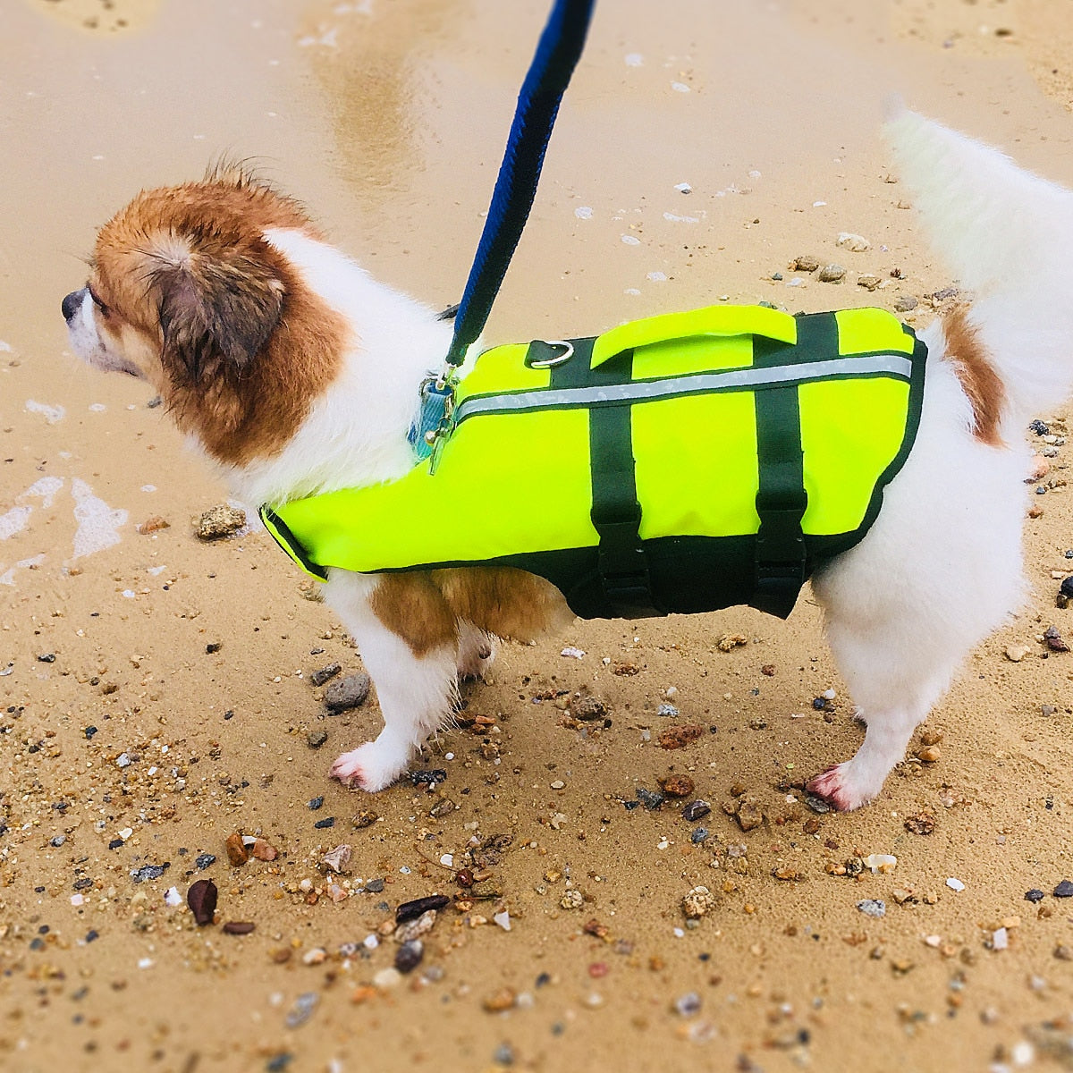 Inflatable Dog Vest/Life Jacket