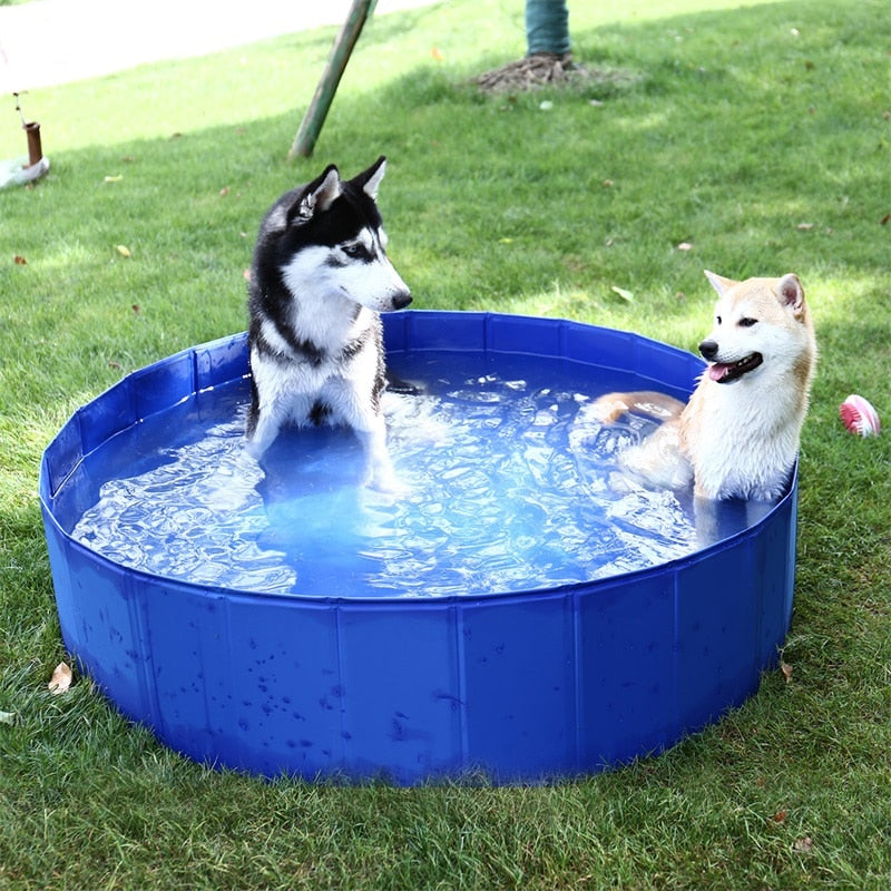 Dog and Small Children Wading Pool for Lots of Summer Fun