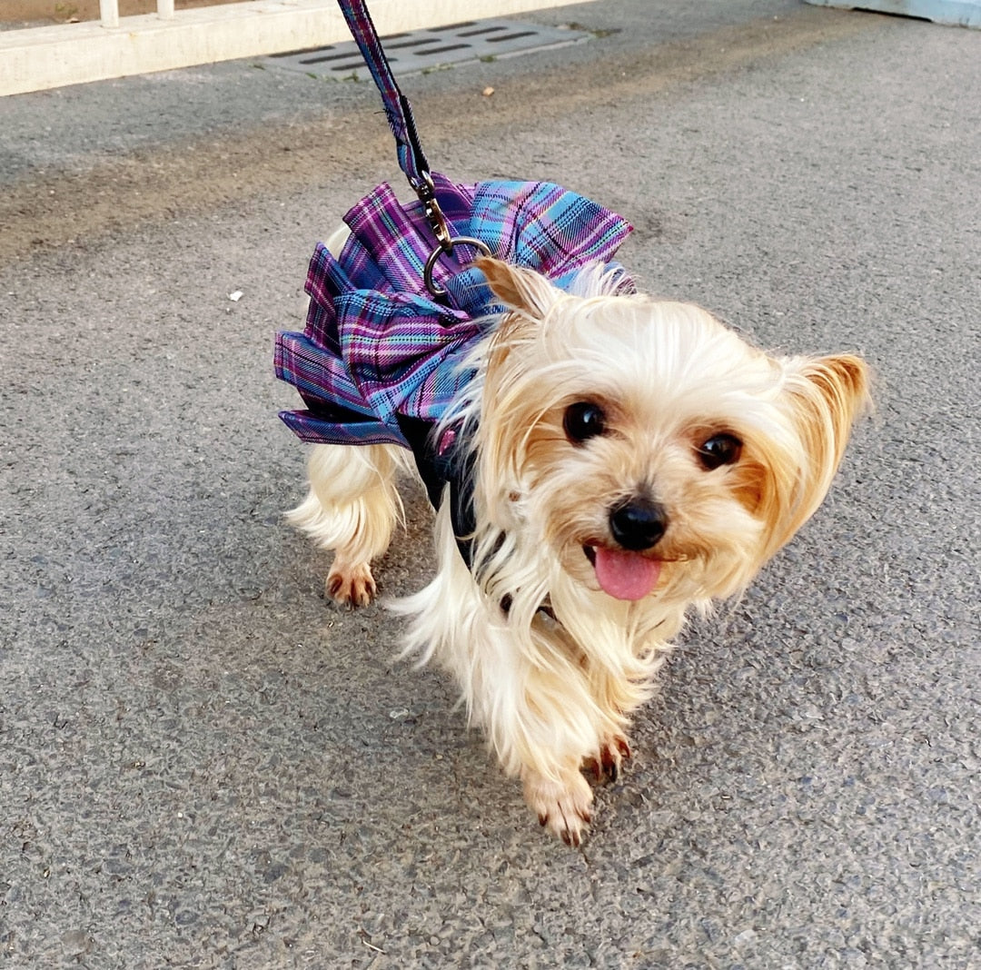 Smart Looking Dog Plaid Party Skirt/Harness With Leash