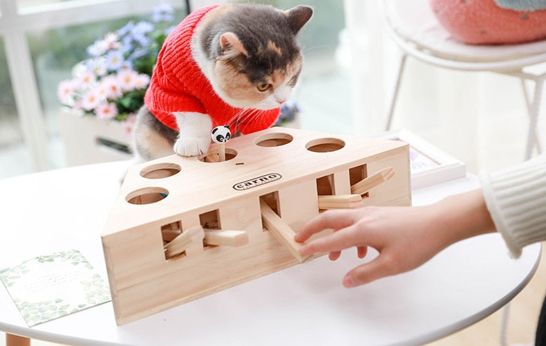 Cat Interactive 3 or 5 Whack-A-Mole Stimulation Toy