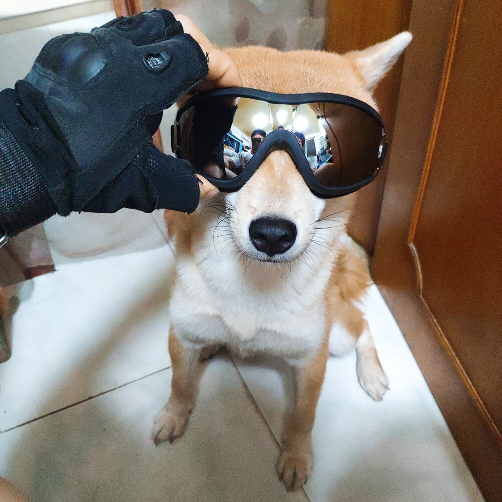 Cool Dog Goggles - Sunglasses UV and Wind Protection