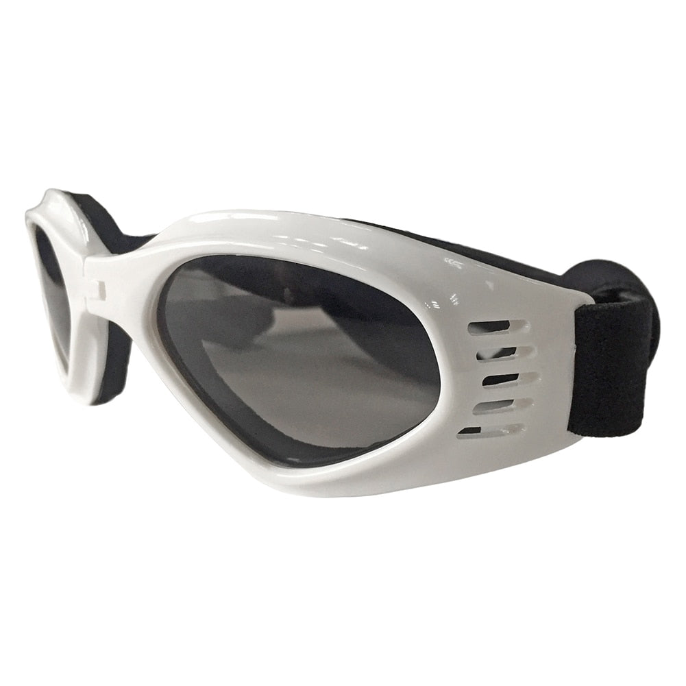 Dog Sunglasses / Goggles Provide Eye Protection and Are Cool Looking