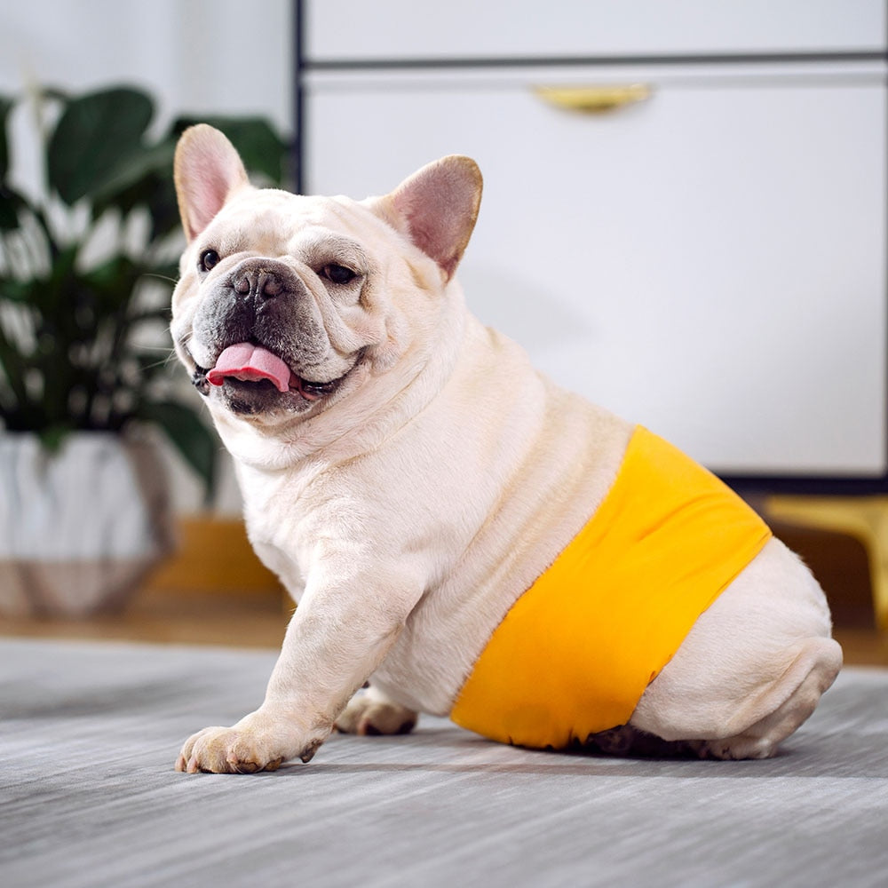 Male Dog Physiological (Urination) Wrap