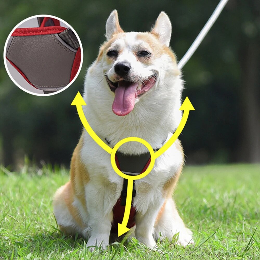 No Pull Dog Mesh Vest Harness, Adjustable Chest Strap, Water Proof