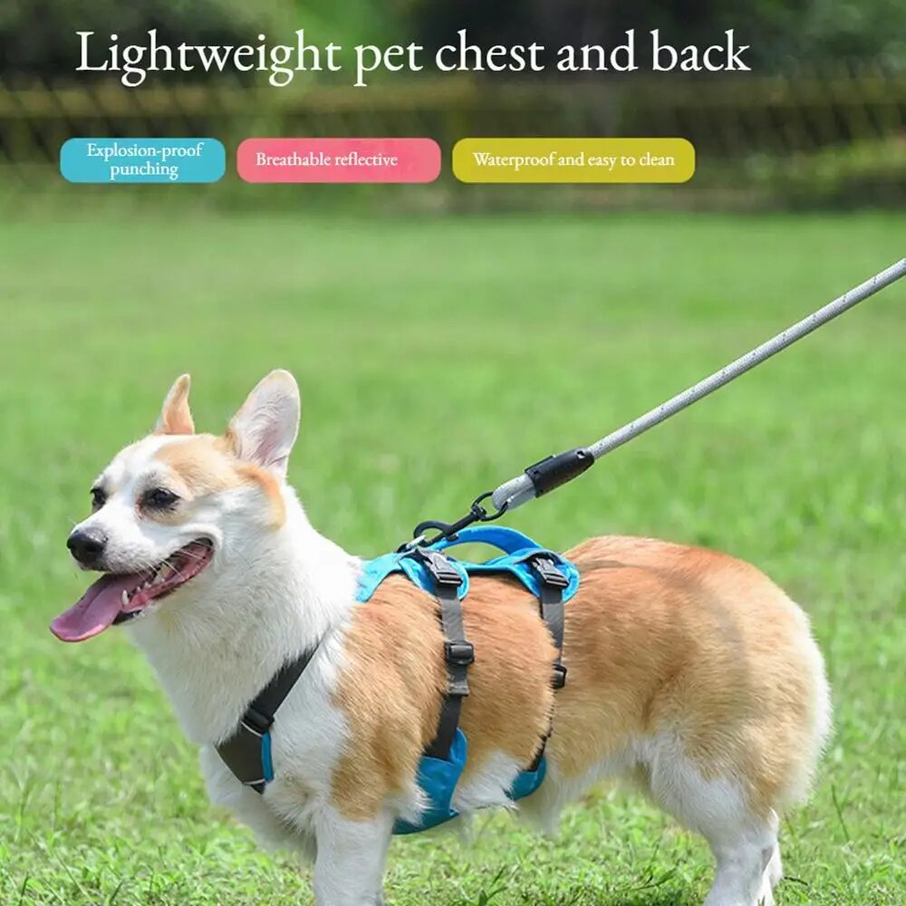 No Pull Dog Mesh Vest Harness, Adjustable Chest Strap, Water Proof