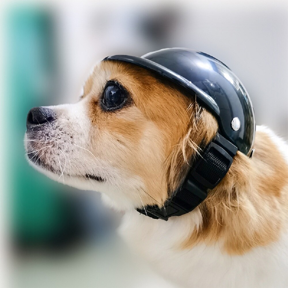 Dog Motorcycle Safety Biker Helmet