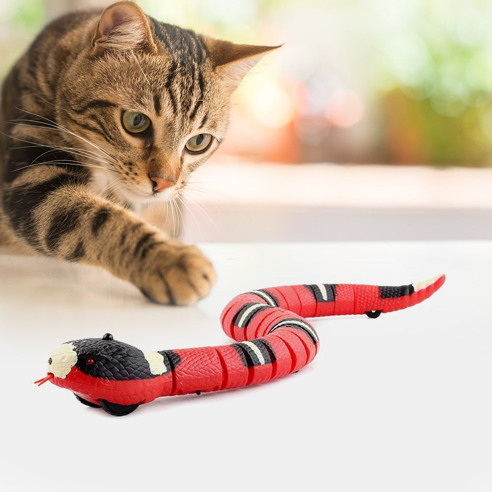 Cat Toy Interactive Slithering Snake w/Smart Sensing, USB Chargeable