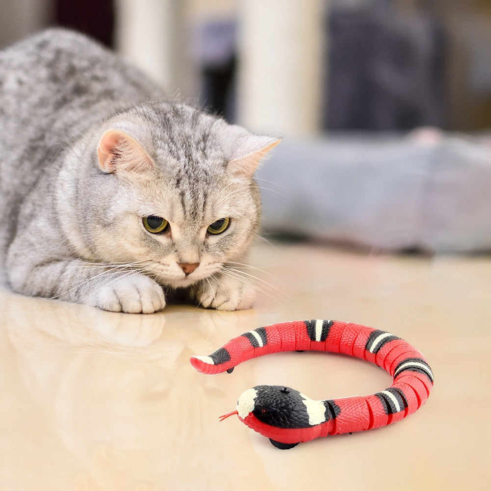 Cat Toy Interactive Slithering Snake w/Smart Sensing, USB Chargeable