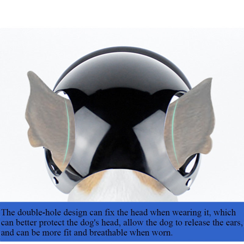 Dog Safety Helmet For Motorcycle Riding