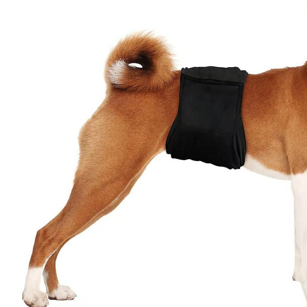 Male Dog Physiological (Urination) Wrap