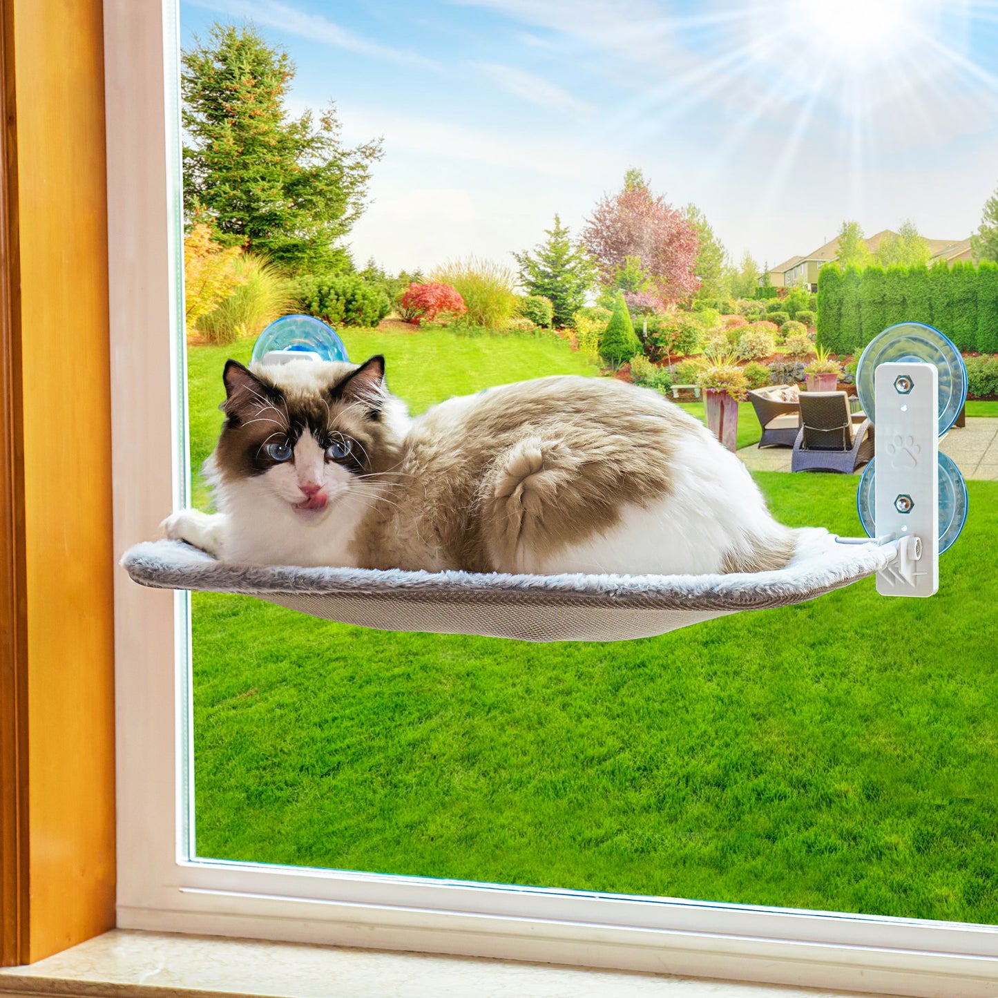 Sturdy Cat Window Perch w/Foldable Steel Frame and Bed Mat