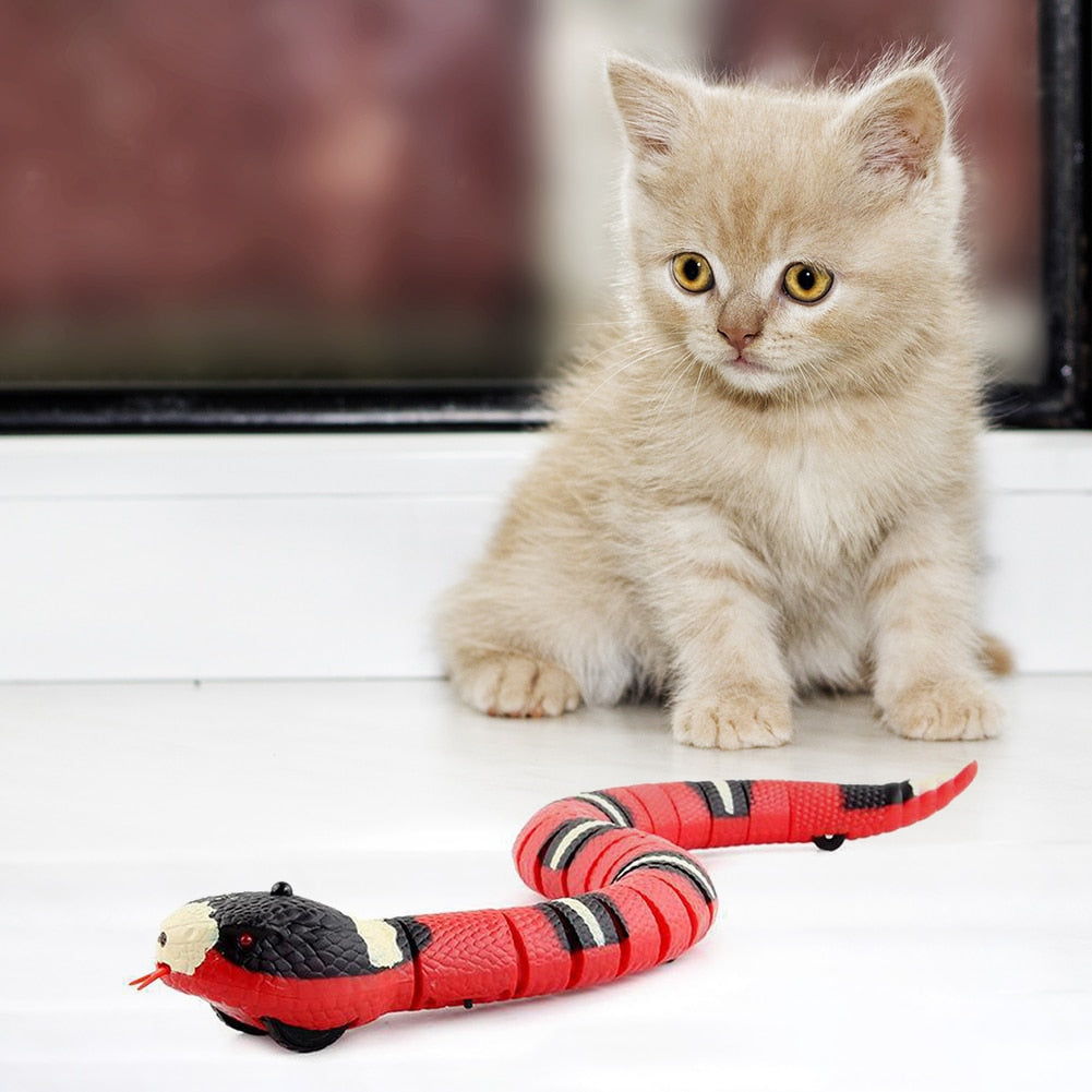 Cat Toy Interactive Slithering Snake w/Smart Sensing, USB Chargeable