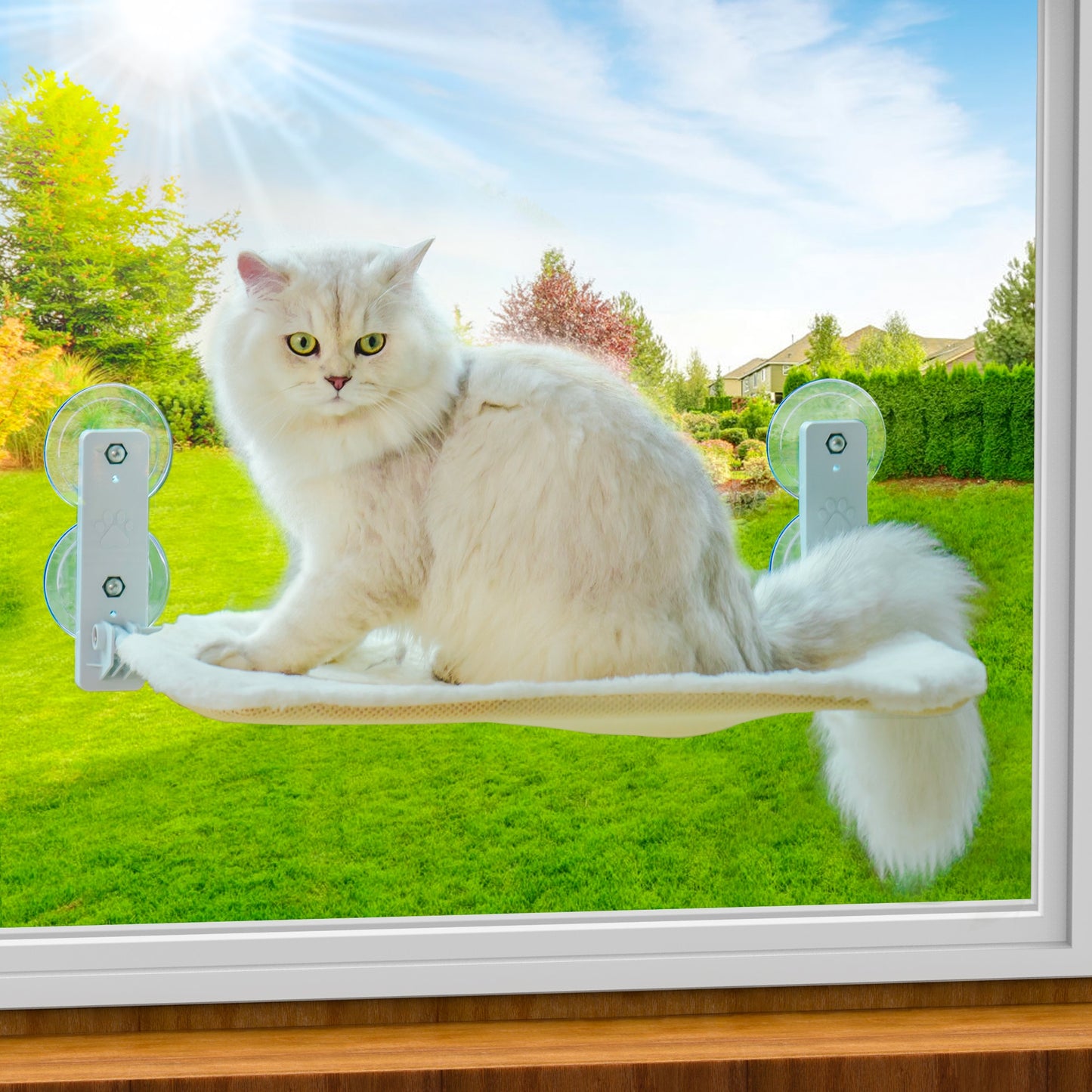 Sturdy Cat Window Perch w/Foldable Steel Frame and Bed Mat