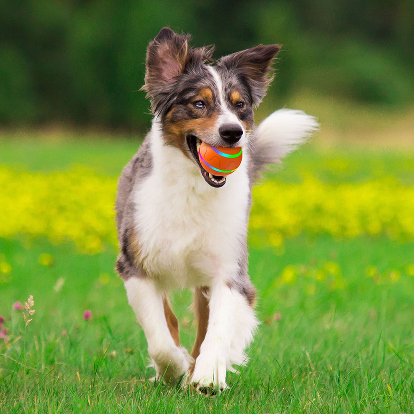 Dog Toy Ball Intelligent Interactive w/Remote Control & USB Charging Cable