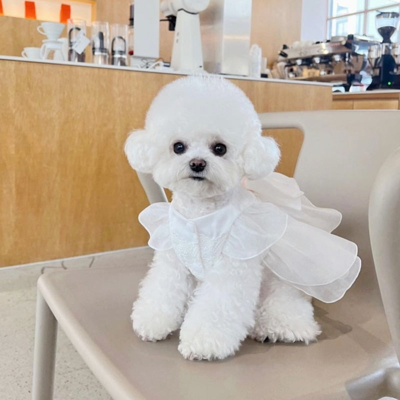 Elegant White Dog Wedding Dress With Matching Bow and Pink Ribbon