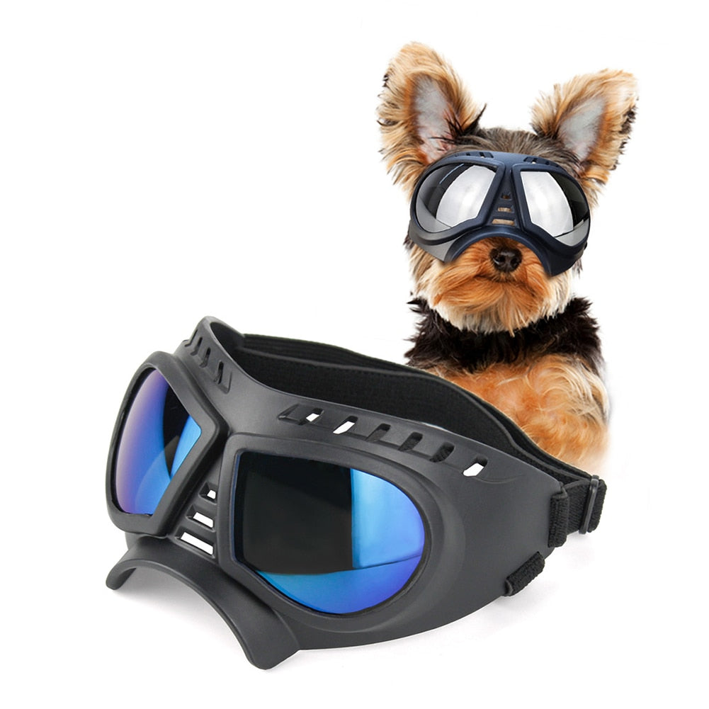 Dog Sunglasses / Goggles Provide Eye Protection and Are Cool Looking