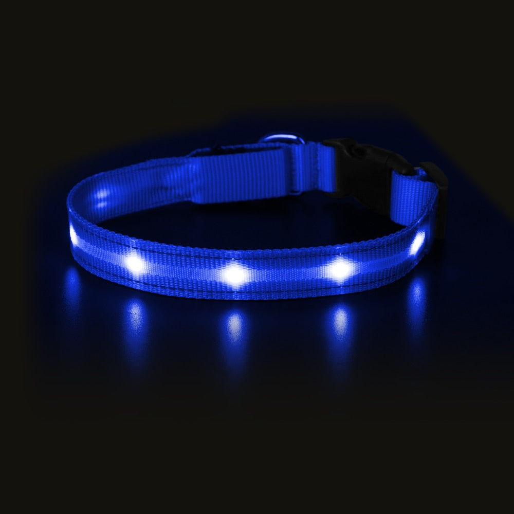 Pet LED Light-up & Blinking Collars, Rechargeable, Waterproof, 4 Sizes, 7 Colors