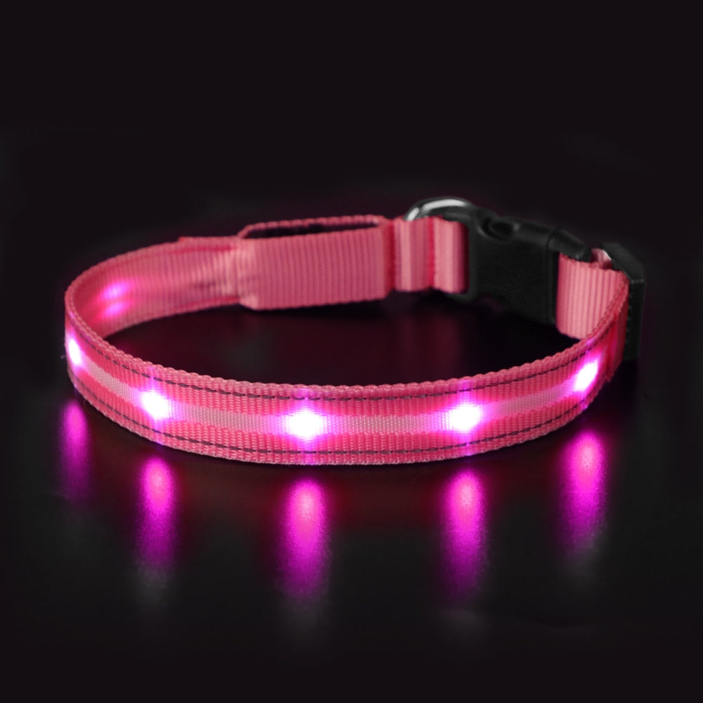 Pet LED Light-up & Blinking Collars, Rechargeable, Waterproof, 4 Sizes, 7 Colors