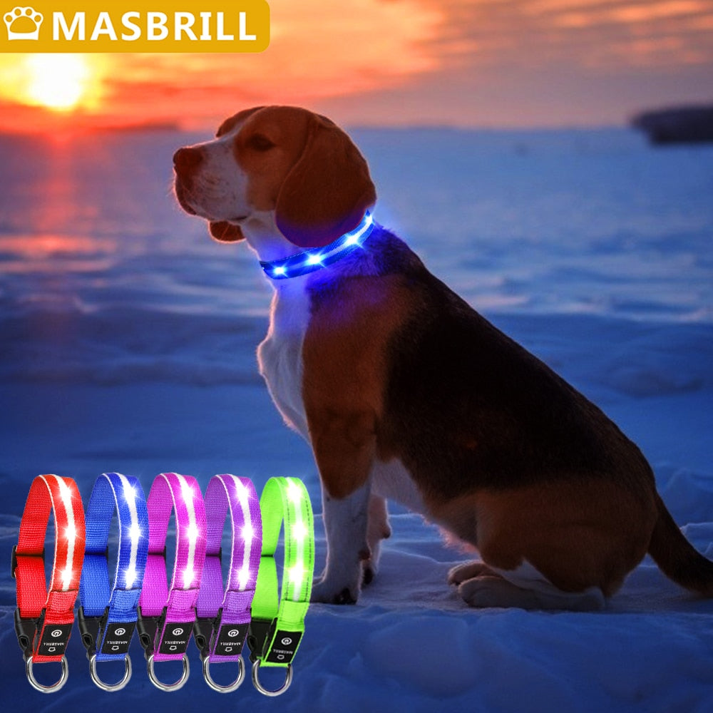 Pet LED Light-up & Blinking Collars, Rechargeable, Waterproof, 4 Sizes, 7 Colors