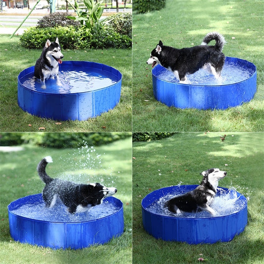 Dog and Small Children Wading Pool for Lots of Summer Fun