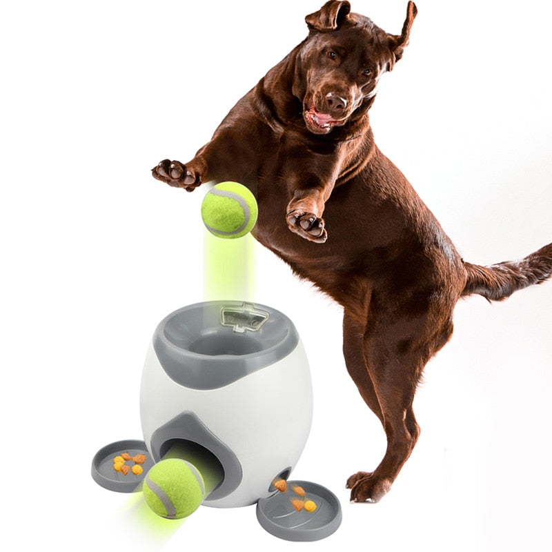 Dog Training/Toy Automatic Ball Launcher w/Treat Dispenser - mypreciousfurbabies