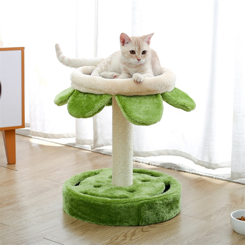 Multiple Cactus Cat Scratching Post’s w/Multiple Configurations and Sizes for Young and Adult Cats