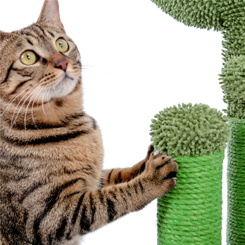 Multiple Cactus Cat Scratching Post’s w/Multiple Configurations and Sizes for Young and Adult Cats