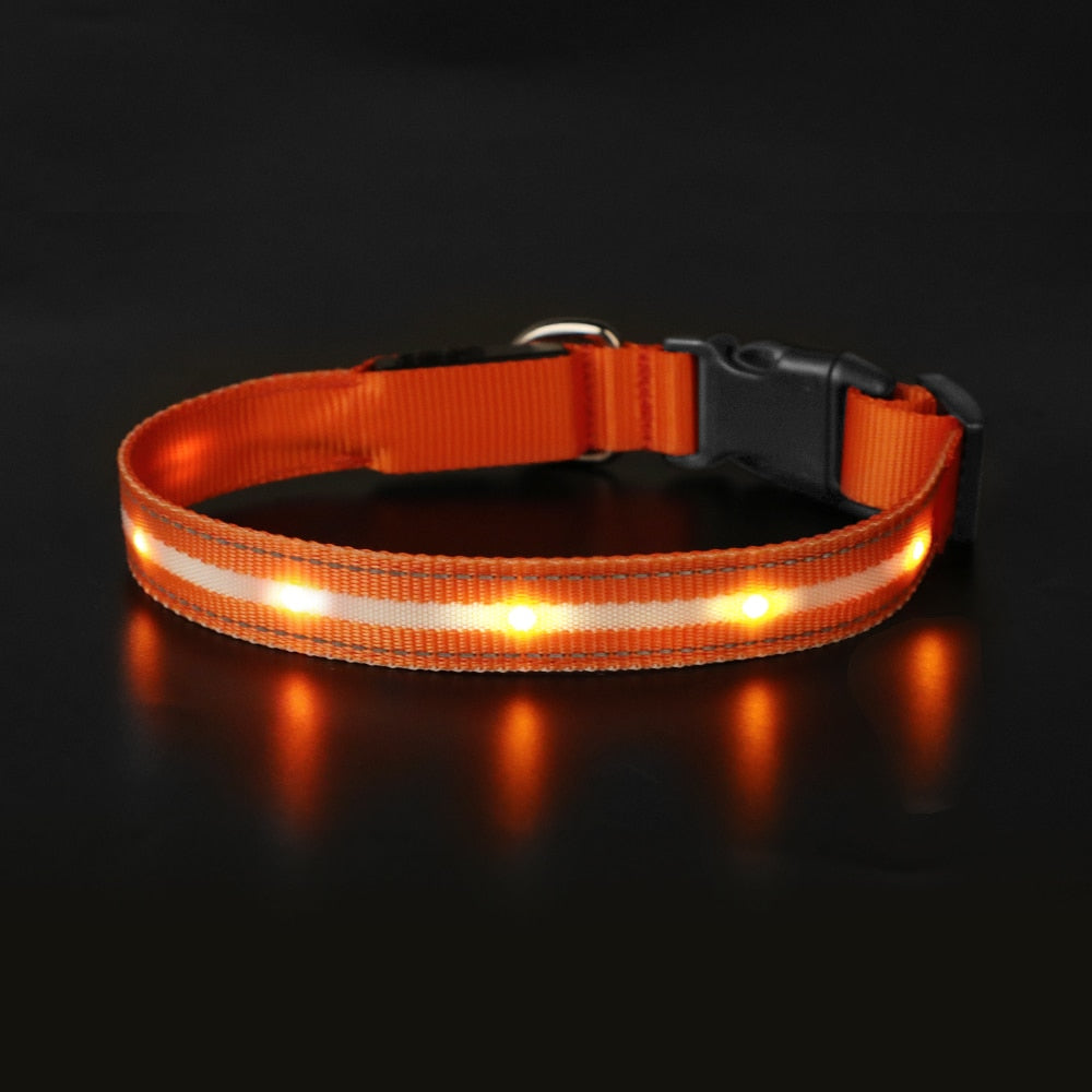 Pet LED Light-up & Blinking Collars, Rechargeable, Waterproof, 4 Sizes, 7 Colors