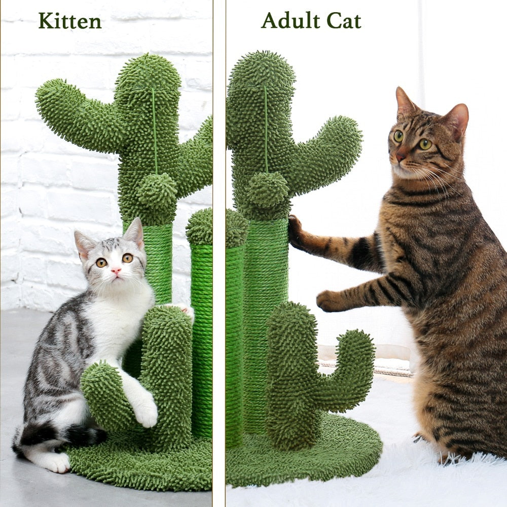 Multiple Cactus Cat Scratching Post’s w/Multiple Configurations and Sizes for Young and Adult Cats