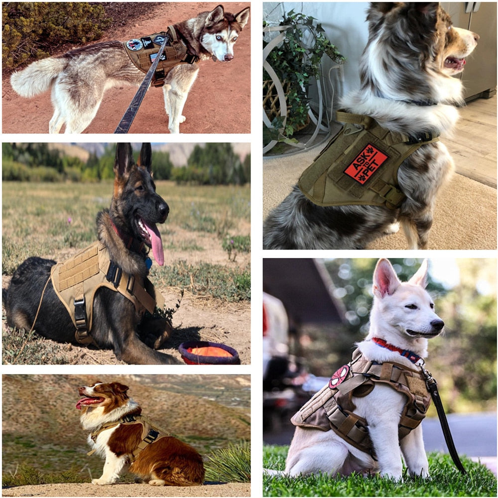 Dog Training Padded Adj. Vest/Harness & Leash Combinations - mypreciousfurbabies