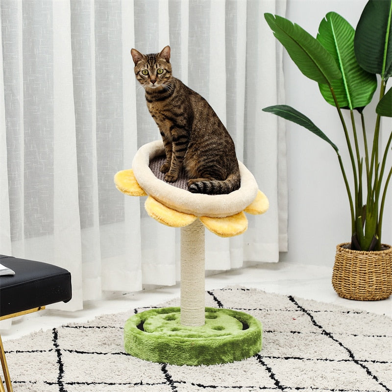 Multiple Cactus Cat Scratching Post’s w/Multiple Configurations and Sizes for Young and Adult Cats