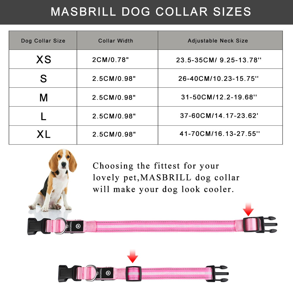 Pet LED Light-up & Blinking Collars, Rechargeable, Waterproof, 4 Sizes, 7 Colors