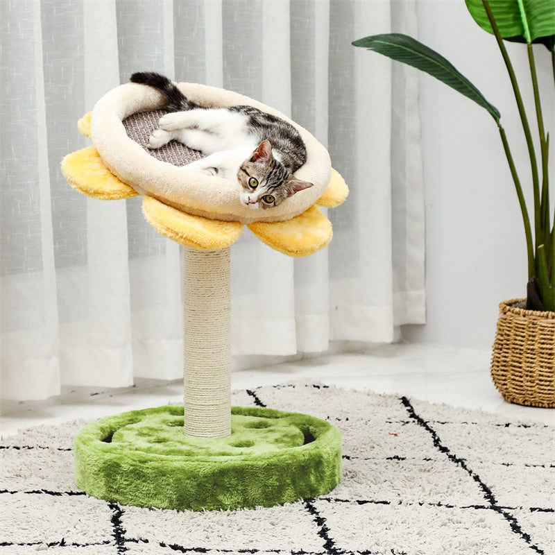 Multiple Cactus Cat Scratching Post’s w/Multiple Configurations and Sizes for Young and Adult Cats