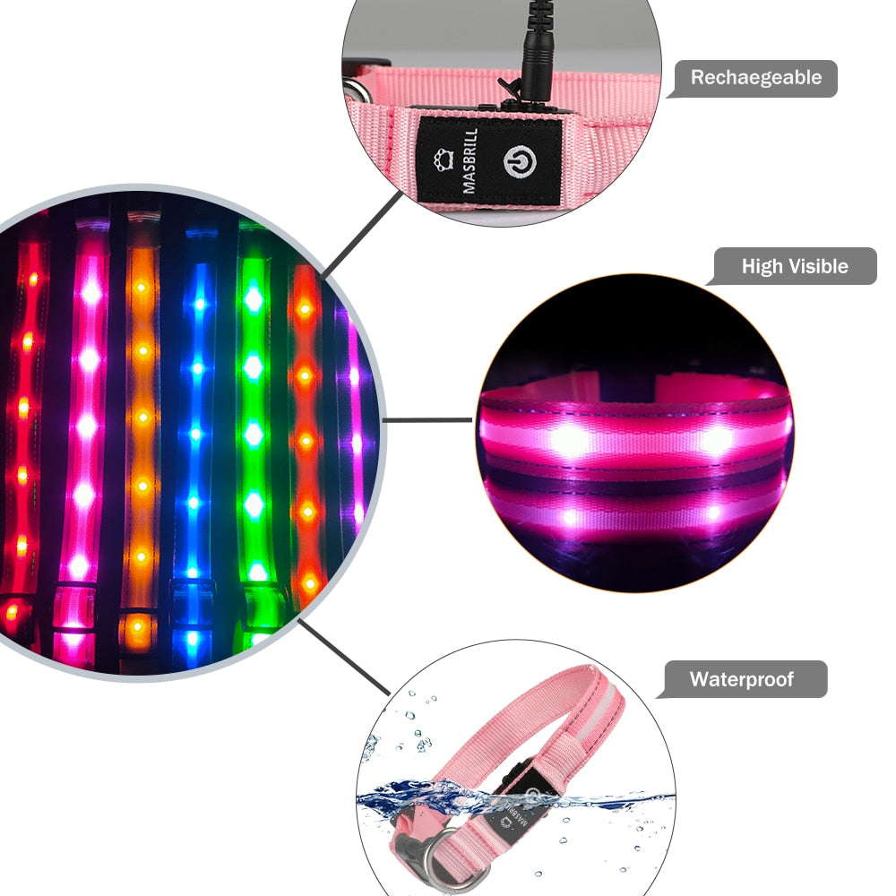 Pet LED Light-up & Blinking Collars, Rechargeable, Waterproof, 4 Sizes, 7 Colors