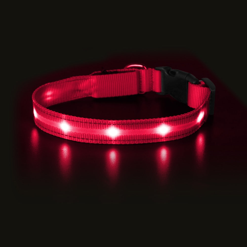 Pet LED Light-up & Blinking Collars, Rechargeable, Waterproof, 4 Sizes, 7 Colors