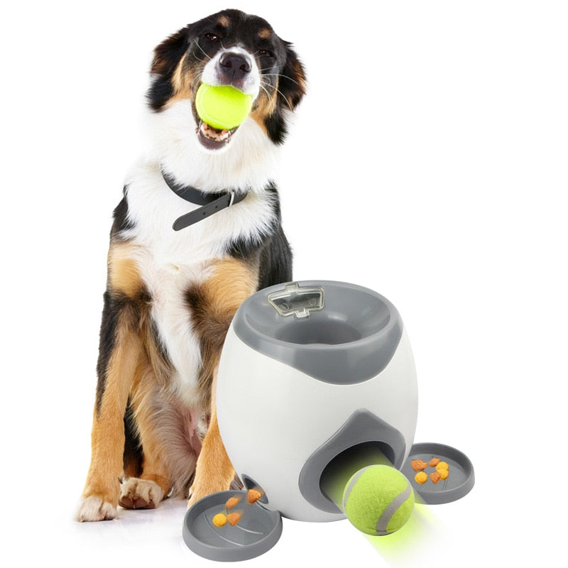 Dog Training/Toy Automatic Ball Launcher w/Treat Dispenser - mypreciousfurbabies