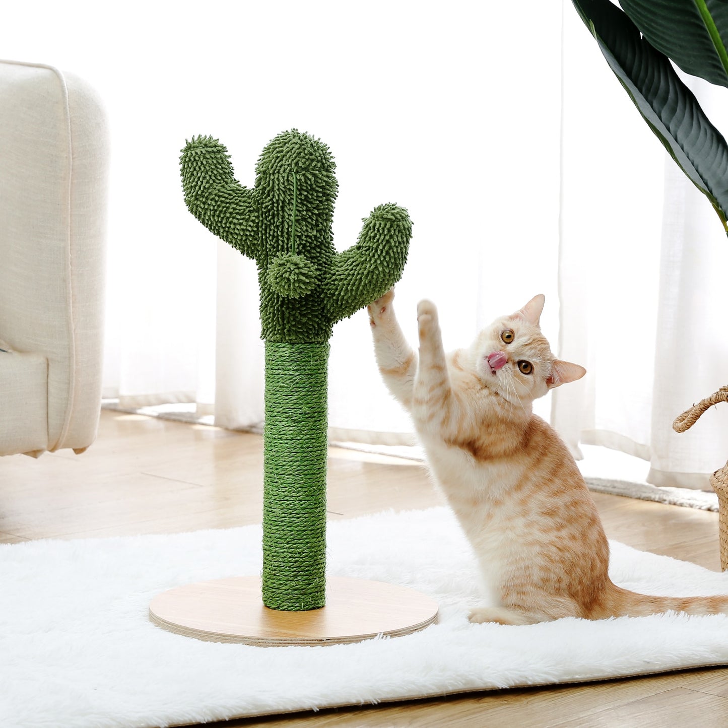 Multiple Cactus Cat Scratching Post’s w/Multiple Configurations and Sizes for Young and Adult Cats