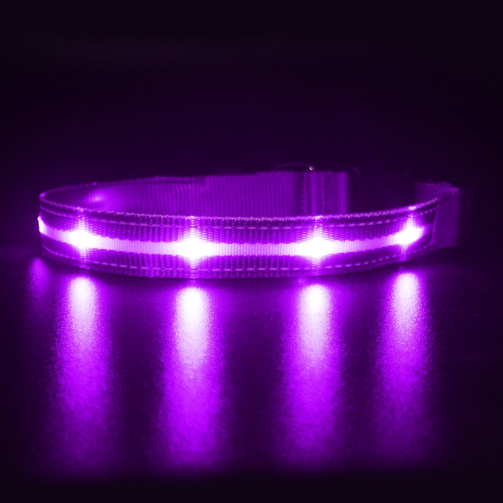 Pet LED Light-up & Blinking Collars, Rechargeable, Waterproof, 4 Sizes, 7 Colors