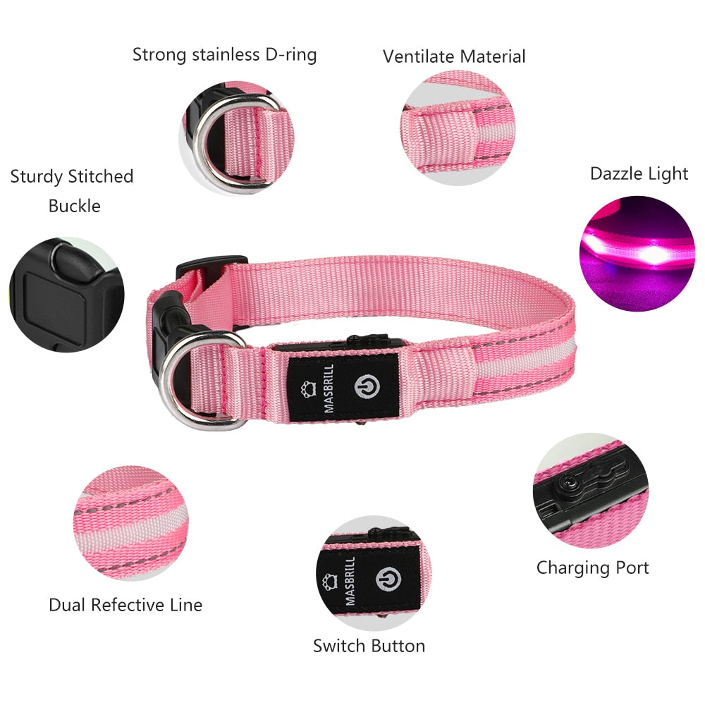 Pet LED Light-up & Blinking Collars, Rechargeable, Waterproof, 4 Sizes, 7 Colors