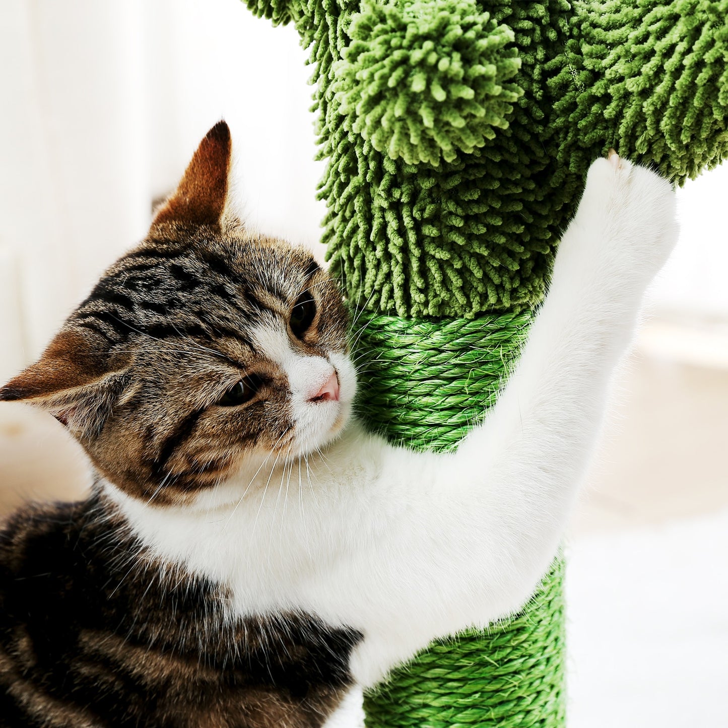 Multiple Cactus Cat Scratching Post’s w/Multiple Configurations and Sizes for Young and Adult Cats