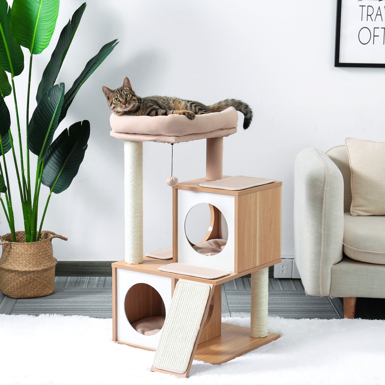 Dog Stairs & Cat Condo/Towers w/Scratching Post - mypreciousfurbabies